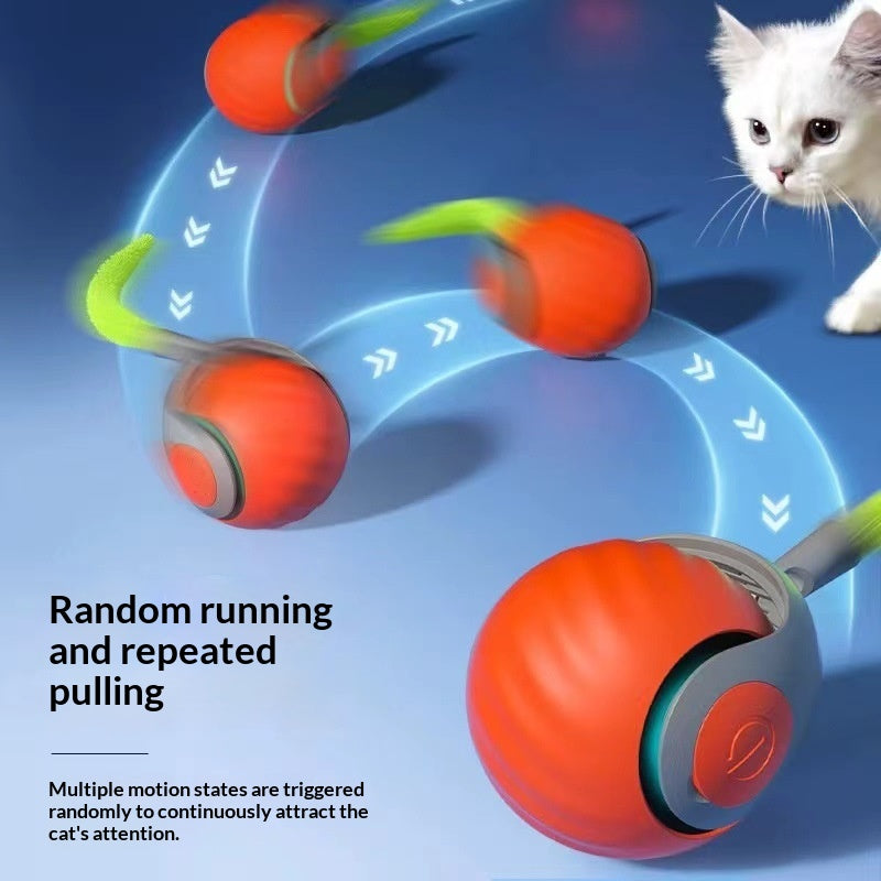 Balle Taquin Interactive pour Chat