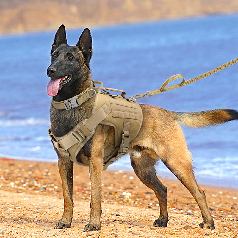 Harnais Tactique K9 pour Chien - Type Gilet