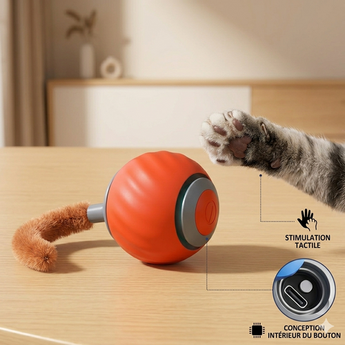 Balle Taquin Interactive pour Chat