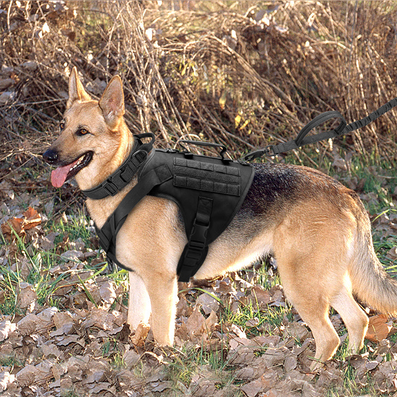 Harnais Tactique K9 pour Chien - Type Gilet